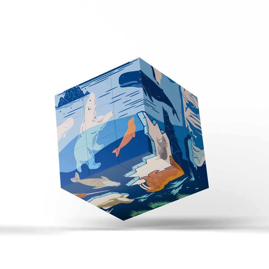 Magnetic Puzzle Cube - Wild Worlds
