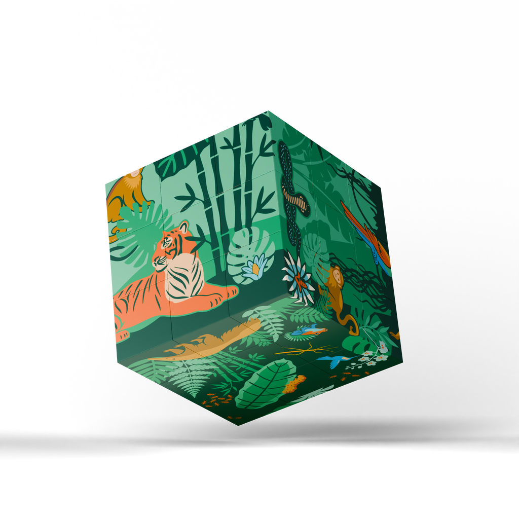 Magnetic Puzzle Cube - Wild Worlds