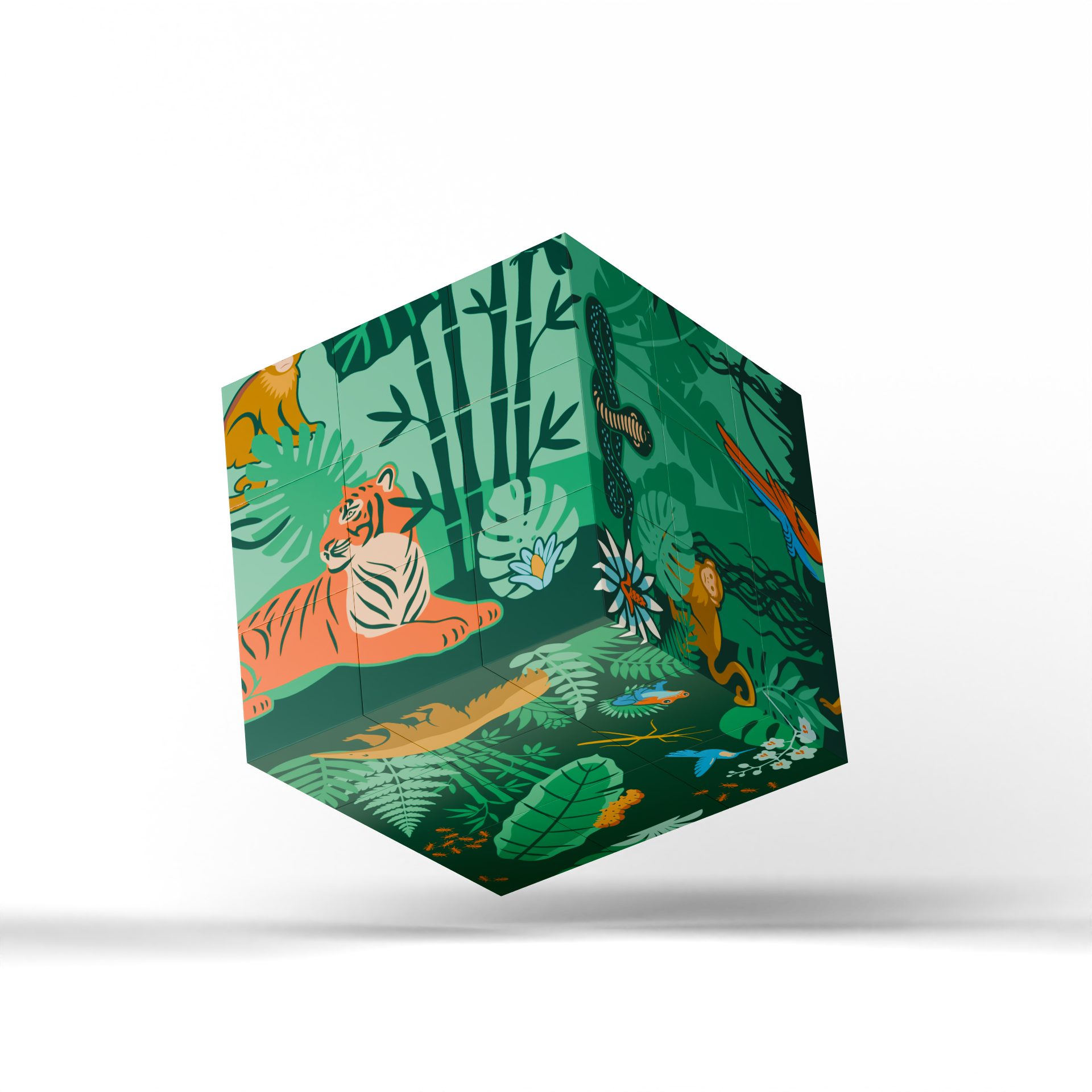 Magnetic Puzzle Cube - Wild Worlds